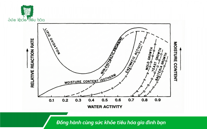 CÁCH LỰA CHỌN MEN VI SINH