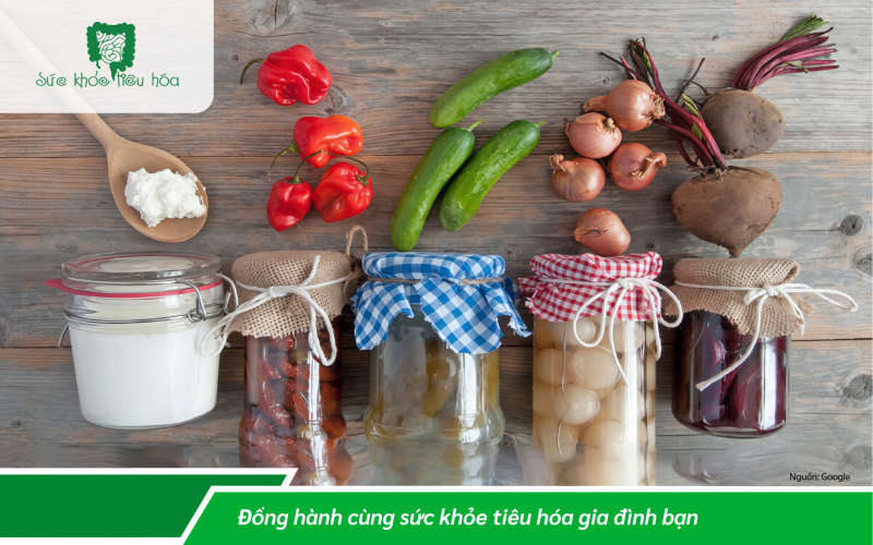 CÁCH SỬ DỤNG PHỐI HỢP KHÁNG SINH & MEN VI SINH PROBIOTICS