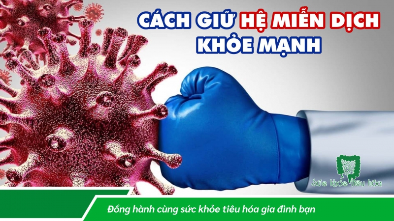 CÁCH GIỮ HỆ MIỄN DỊCH KHỎE MẠNH