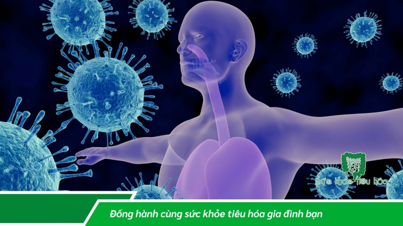 CÁCH GIỮ HỆ MIỄN DỊCH KHỎE MẠNH