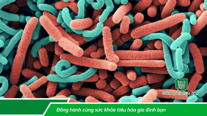 CÁCH GIỮ HỆ MIỄN DỊCH KHỎE MẠNH