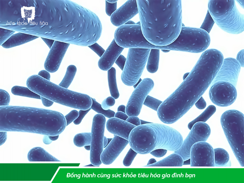 CÂU CHUYỆN VỀ MEN VI SINH (PROBIOTICS)