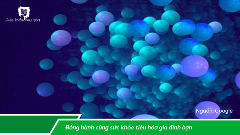 CÔNG NGHỆ BAO VI NANG BẢO VỆ CHẤT LƯỢNG MEN VI SINH PROBIOTICS