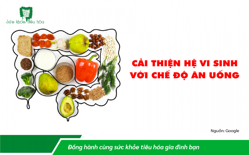 CẢI THIỆN HỆ VI SINH VỚI CHẾ ĐỘ ĂN UỐNG