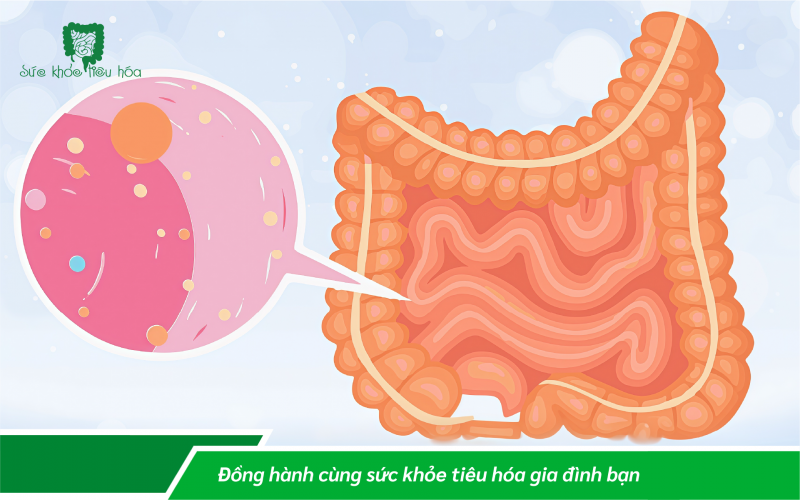 CÁCH DÙNG MEN VI SINH CHO TRẺ NHỎ