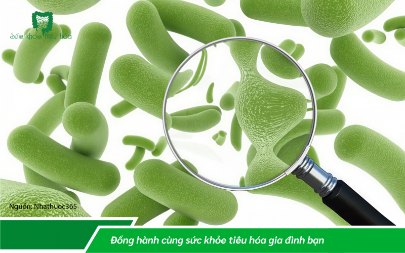 CÁCH DÙNG MEN VI SINH CHO TRẺ NHỎ