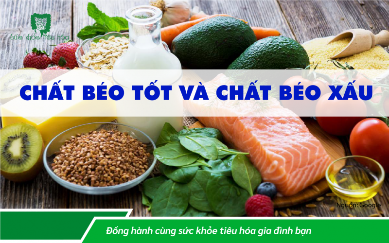 CHẤT BÉO TỐT VÀ CHẤT BÉO XẤU