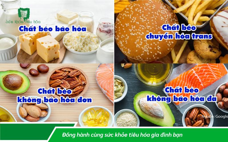 CHẤT BÉO TỐT VÀ CHẤT BÉO XẤU