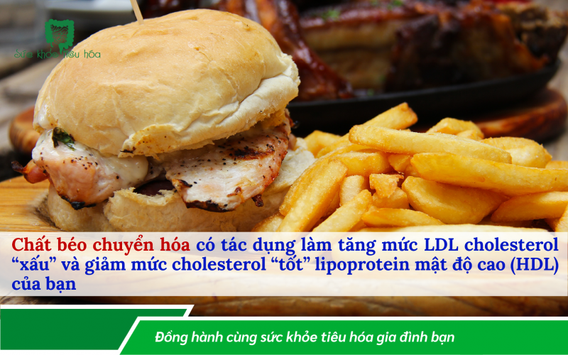 CHẤT BÉO TỐT VÀ CHẤT BÉO XẤU