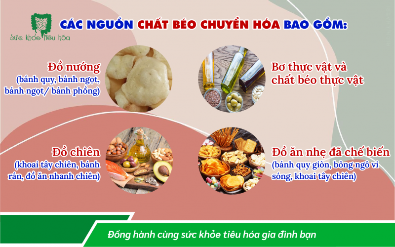CHẤT BÉO TỐT VÀ CHẤT BÉO XẤU