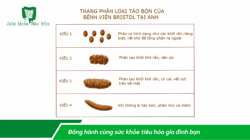 CHẤT XƠ CẢI THIỆN TÌNH TRẠNG ĐI PHÂN DÊ