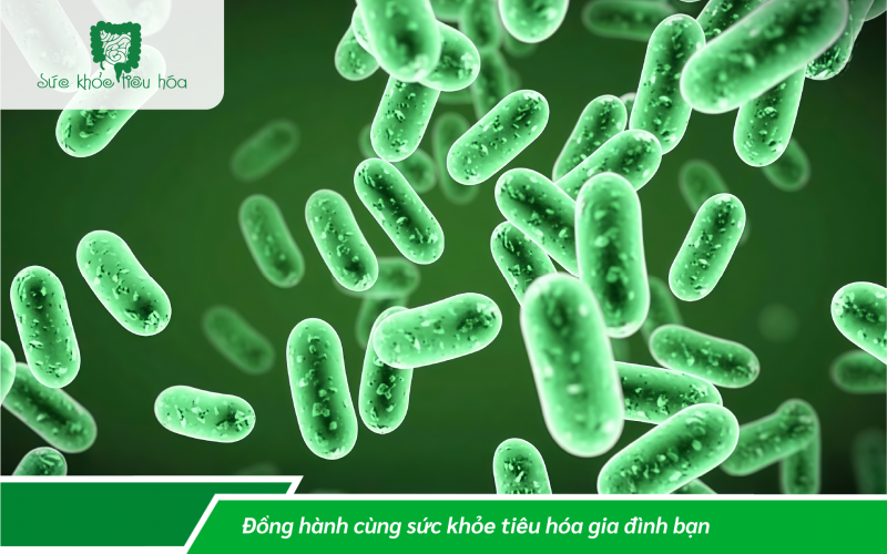 CHẾ PHẨM MEN VI SINH PROBIOTICS VÀ THỰC PHẨM CÓ PROBIOTICS, LOẠI NÀO TỐT HƠN?