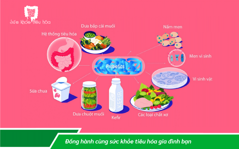 CHẾ PHẨM MEN VI SINH PROBIOTICS VÀ THỰC PHẨM CÓ PROBIOTICS, LOẠI NÀO TỐT HƠN?