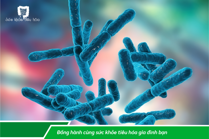 CHỐNG TÁO BÓN CHO TRẺ BẰNG CHẤT XƠ HÒA TAN VÀ MEN VI SINH