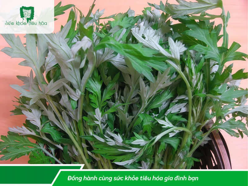 DÙNG LÁ CHỮA ĐAU BỤNG HIỆU QUẢ