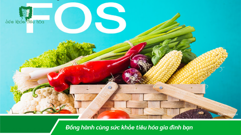 FOS + MEN VI SINH LÀ SỰ KẾT HỢP PREBIOTICS & PROBIOTICS ĐEM LẠI LỢI  ÍCH SỨC KHỎE NHƯ THẾ NÀO?