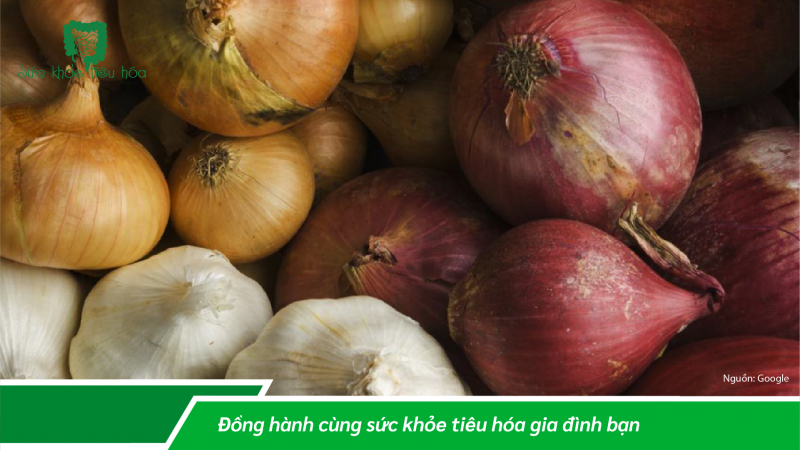 FOS + MEN VI SINH LÀ SỰ KẾT HỢP PREBIOTICS & PROBIOTICS ĐEM LẠI LỢI  ÍCH SỨC KHỎE NHƯ THẾ NÀO?