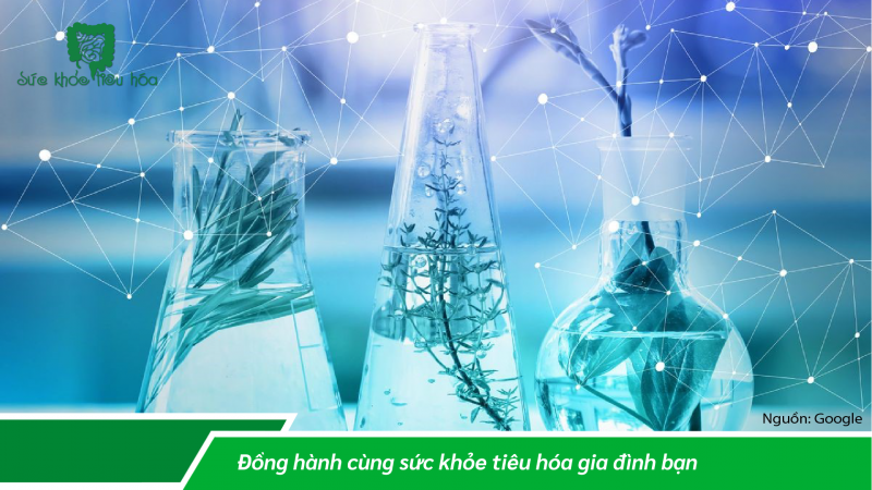 GÓC NHÌN MỚI VỀ HỆ VI SINH & SỰ LÊN MEN TRONG NĂM 2022