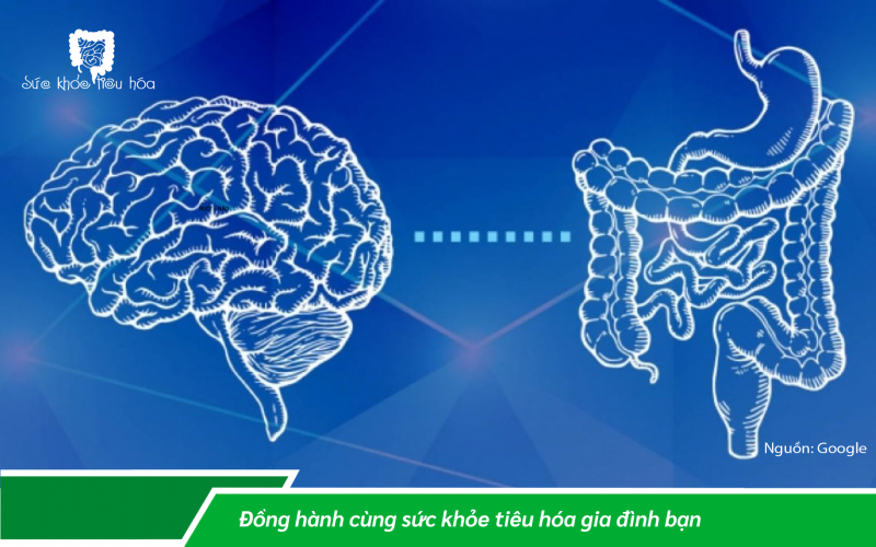 HỆ VI SINH & SỨC KHỎE TÂM THẦN