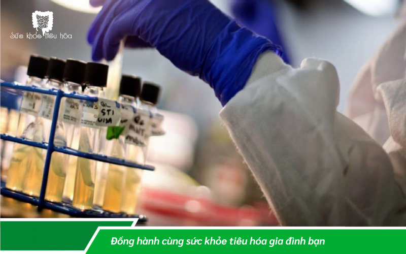HỆ VI SINH CẢI THIỆN SỨC KHỎE BẠN NHƯ THẾ NÀO?