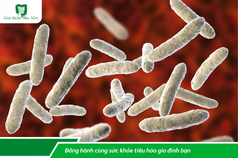 HỆ VI SINH RUỘT TRONG ĐIỀU TRỊ RỐI LOẠN CHỨC NĂNG ĐƯỜNG RUỘT