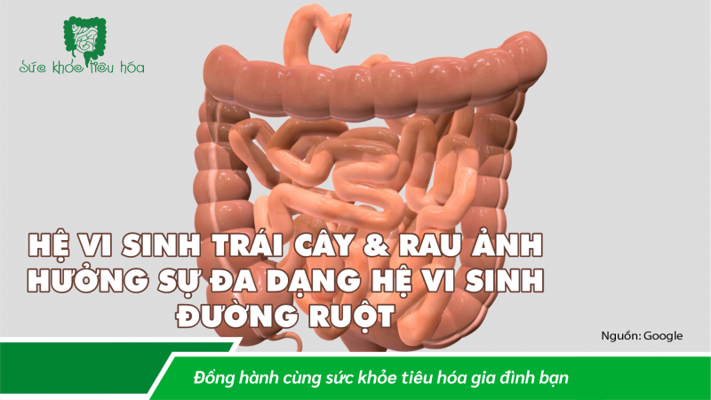 HỆ VI SINH TRÁI CÂY & RAU ẢNH HƯỞNG SỰ ĐA DẠNG HỆ VI SINH ĐƯỜNG RUỘT