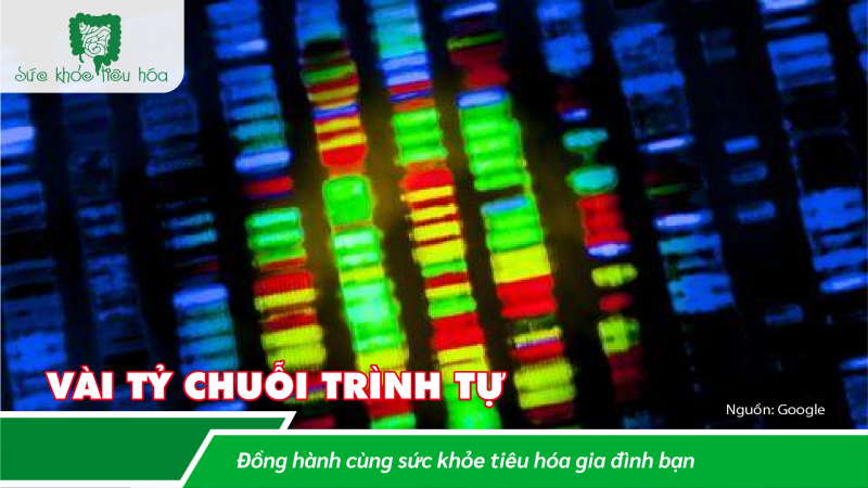 HỆ VI SINH TRÁI CÂY & RAU ẢNH HƯỞNG SỰ ĐA DẠNG HỆ VI SINH ĐƯỜNG RUỘT