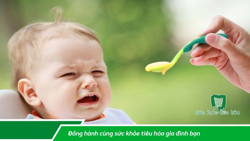 HIỂU ĐÚNG VỀ MEN TIÊU HÓA GIÚP HẤP THU TỐT THỨC ĂN 