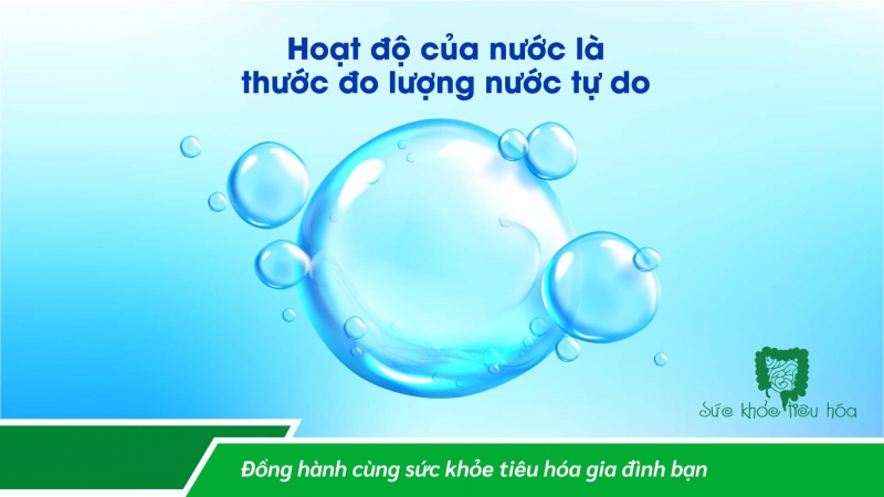 HOẠT ĐỘ NƯỚC – BÍ QUYẾT TRONG CÔNG NGHỆ SẢN XUẤT MEN VI SINH