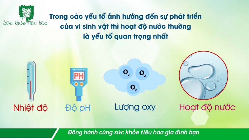 HOẠT ĐỘ NƯỚC – BÍ QUYẾT TRONG CÔNG NGHỆ SẢN XUẤT MEN VI SINH