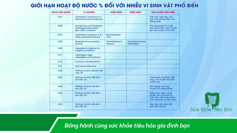 HOẠT ĐỘ NƯỚC – BÍ QUYẾT TRONG CÔNG NGHỆ SẢN XUẤT MEN VI SINH