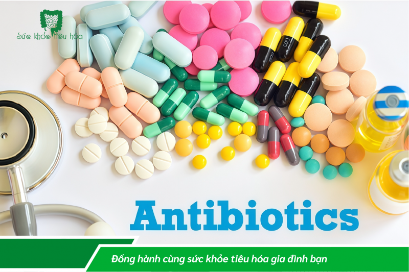 KHÁM PHÁ CÁC TRIỂN VỌNG CỦA PROBIOTICS