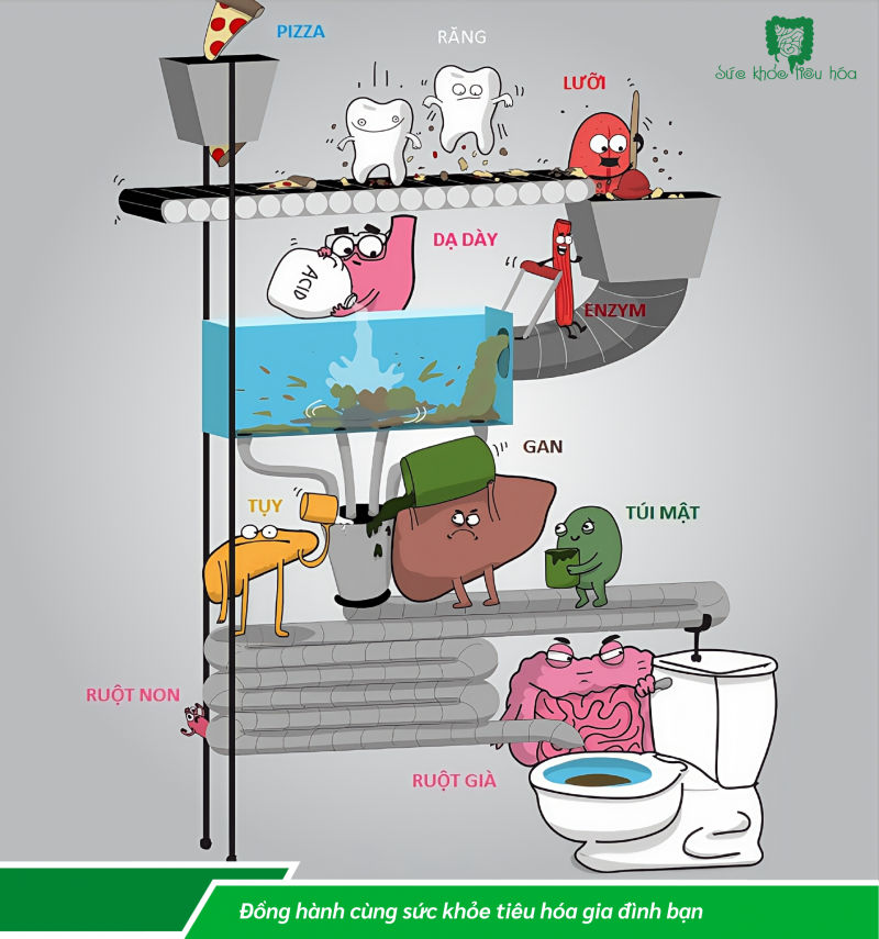 KHẮC PHỤC CHỨNG KÉM HẤP THU