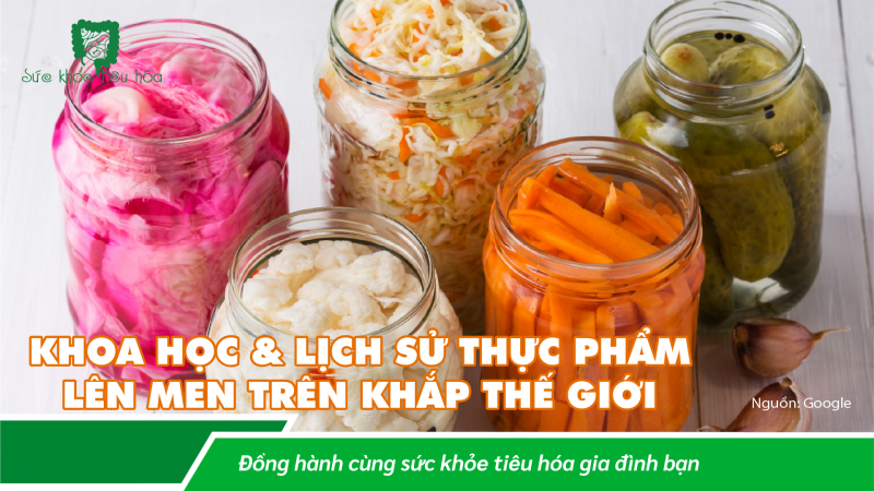 KHOA HỌC & LỊCH SỬ THỰC PHẨM LÊN MEN TRÊN KHẮP THẾ GIỚI