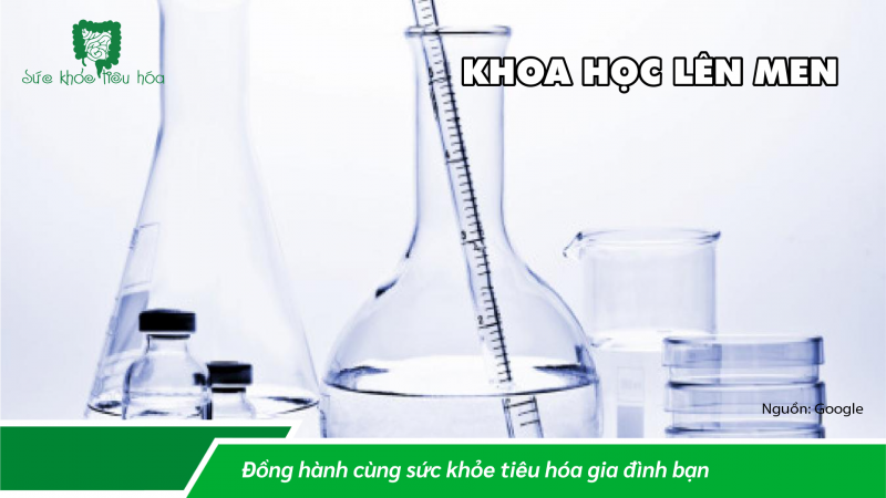 KHOA HỌC & LỊCH SỬ THỰC PHẨM LÊN MEN TRÊN KHẮP THẾ GIỚI