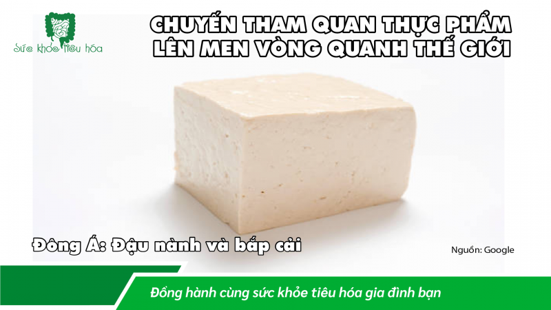 KHOA HỌC & LỊCH SỬ THỰC PHẨM LÊN MEN TRÊN KHẮP THẾ GIỚI