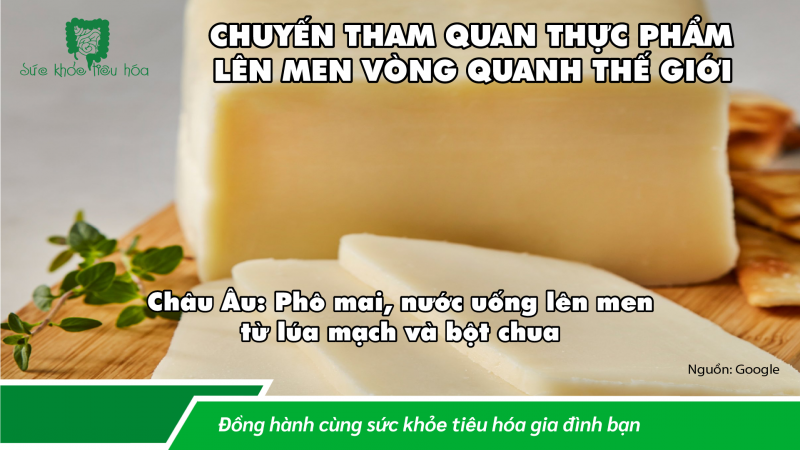 KHOA HỌC & LỊCH SỬ THỰC PHẨM LÊN MEN TRÊN KHẮP THẾ GIỚI