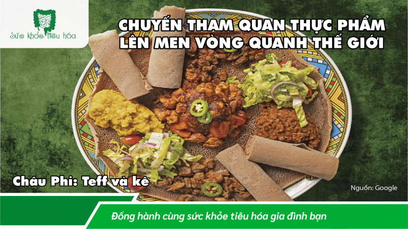 KHOA HỌC & LỊCH SỬ THỰC PHẨM LÊN MEN TRÊN KHẮP THẾ GIỚI