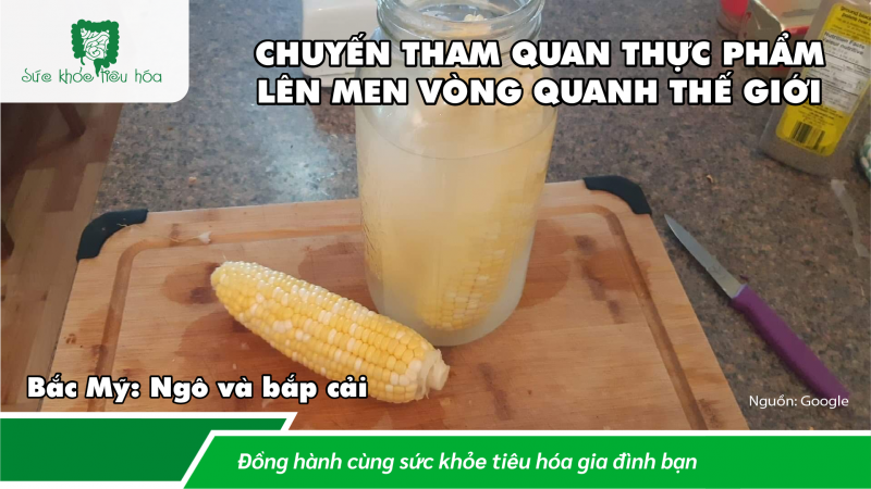 KHOA HỌC & LỊCH SỬ THỰC PHẨM LÊN MEN TRÊN KHẮP THẾ GIỚI