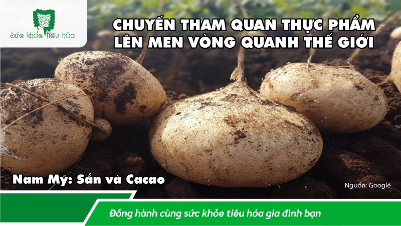 KHOA HỌC & LỊCH SỬ THỰC PHẨM LÊN MEN TRÊN KHẮP THẾ GIỚI