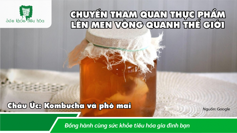 KHOA HỌC & LỊCH SỬ THỰC PHẨM LÊN MEN TRÊN KHẮP THẾ GIỚI