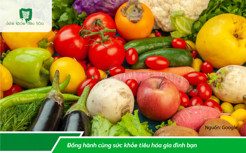 LÀM THẾ NÀO TÁI CÂN BẰNG HỆ VI SINH RUỘT CỦA BẠN