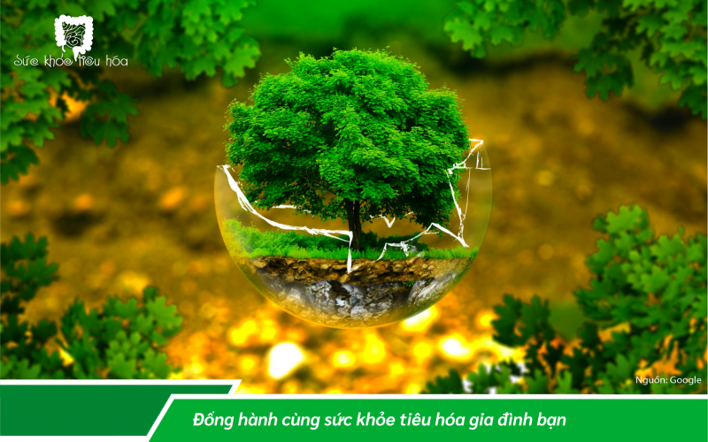 LỢI ÍCH CỦA CHẾ ĐỘ ĂN THỰC VẬT THAY THỊT ĐỘNG VẬT