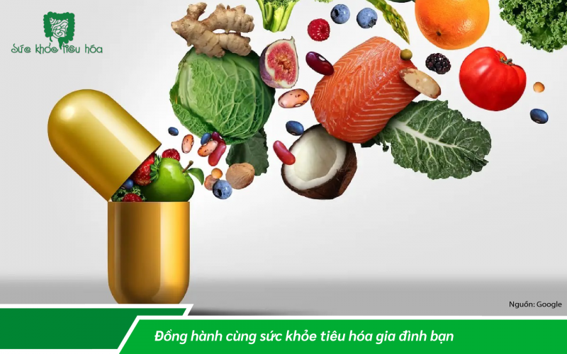 LỢI ÍCH CỦA CHẾ ĐỘ ĂN THỰC VẬT THAY THỊT ĐỘNG VẬT