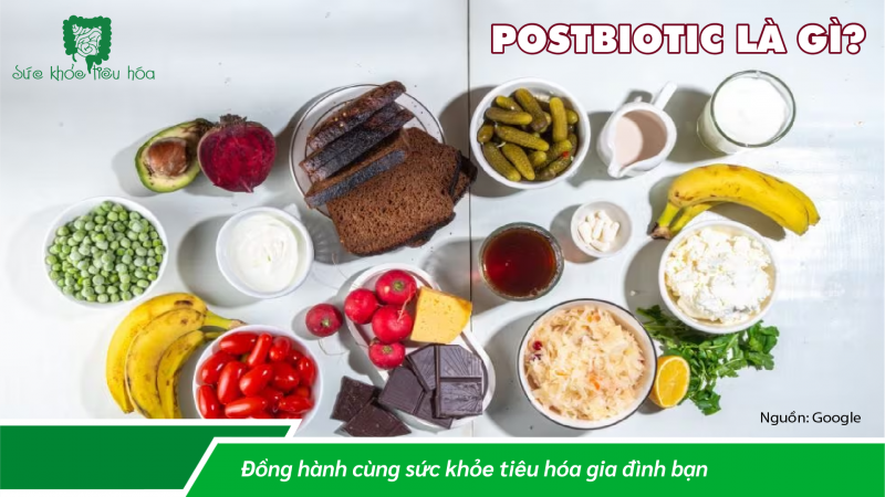 LỢI ÍCH CỦA POSTBIOTICS, MỐI QUAN HỆ VỚI  PROBIOTICS & PREBIOTICS