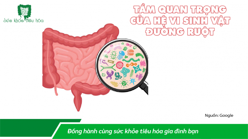 LỢI ÍCH CỦA POSTBIOTICS, MỐI QUAN HỆ VỚI  PROBIOTICS & PREBIOTICS