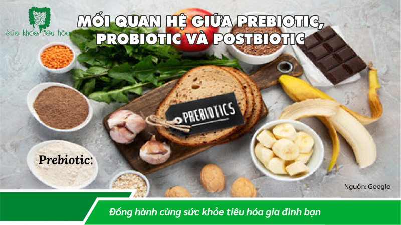 LỢI ÍCH CỦA POSTBIOTICS, MỐI QUAN HỆ VỚI  PROBIOTICS & PREBIOTICS