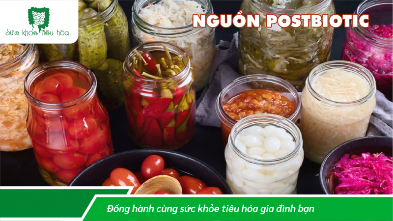 LỢI ÍCH CỦA POSTBIOTICS, MỐI QUAN HỆ VỚI  PROBIOTICS & PREBIOTICS