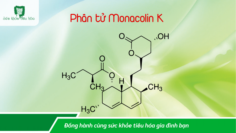 LỢI ÍCH GIẢM CHOLESTEROL MÁU CỦA MEN GẠO ĐỎ