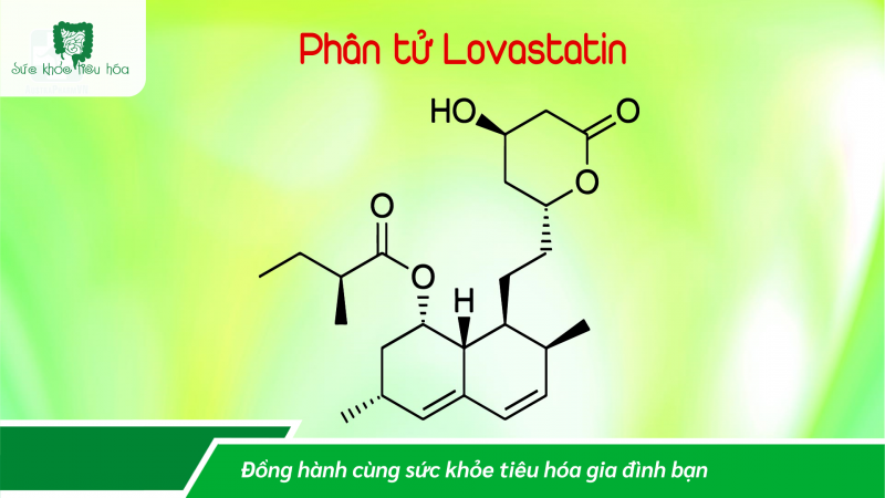 LỢI ÍCH GIẢM CHOLESTEROL MÁU CỦA MEN GẠO ĐỎ